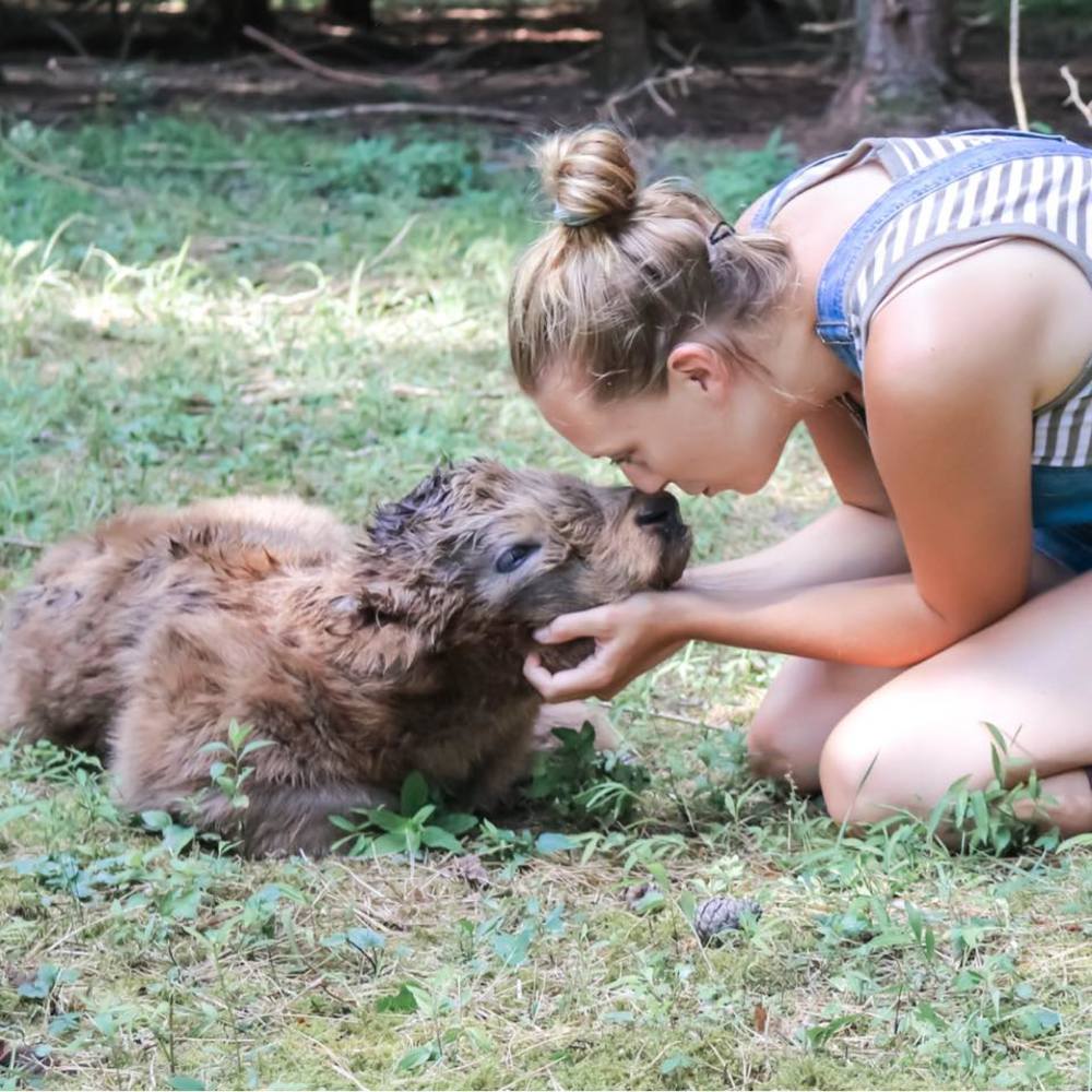 Meet your Posher, Alea